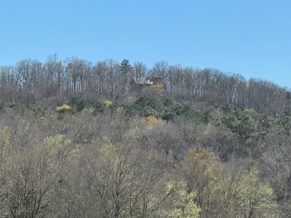739 Barnes Mill Road Hamilton, GA 31811 - Photo 91 of 93 Gallery Image 91