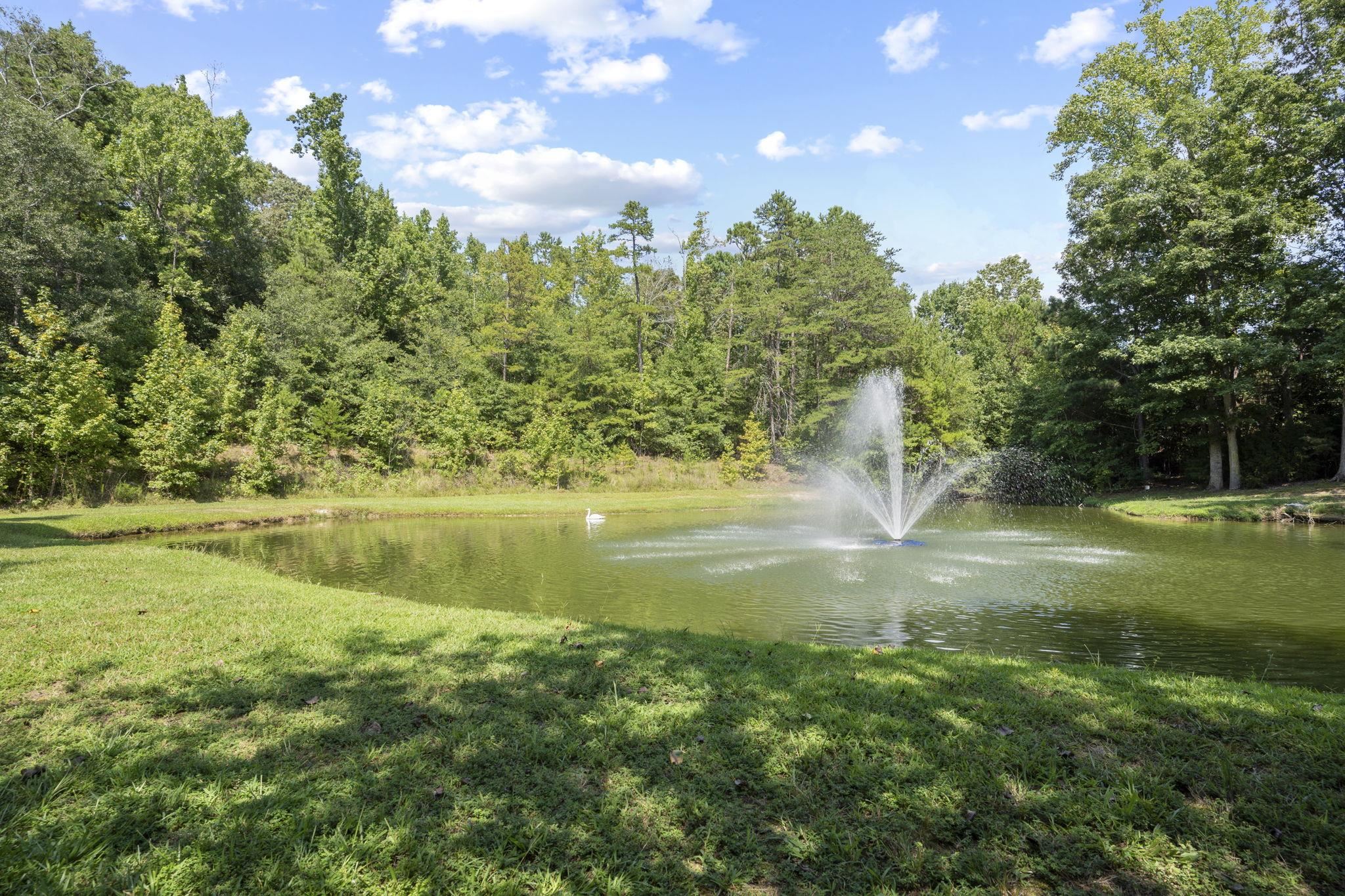 229 Sandusky Lane Simpsonville, SC 29680 - Photo 47 of 48