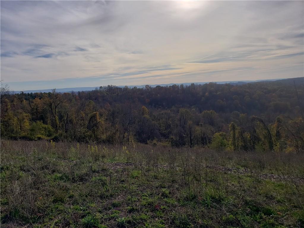 322 Groves Road Carmichaels, PA 15320 - Photo 4 of 4