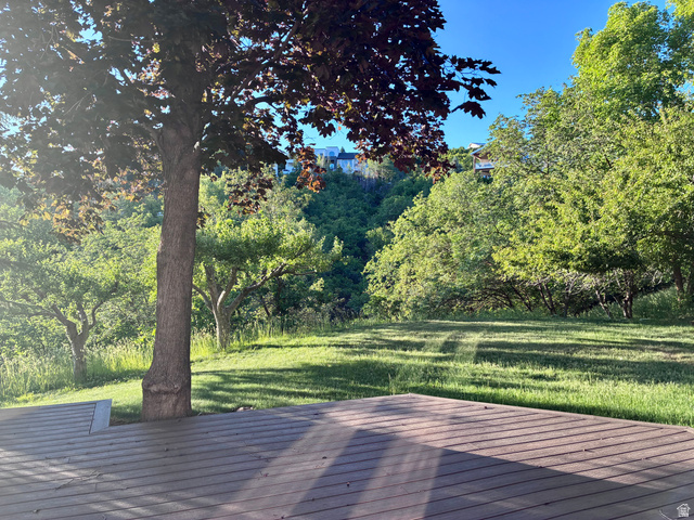 1903 Ridgehollow Drive Bountiful, UT 84010 - Photo 23 of 24 Expansive outdoor deck with composite decking and mature tree, overlooking a verdant hillside with varied foliage and open grassy areas