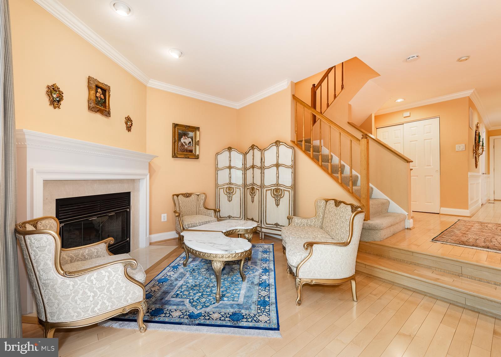 5235 Columbia Road, Unit 568 Columbia, MD 21044 - Photo 11 of 45 Elegant Living Room with Cozy Fireplace