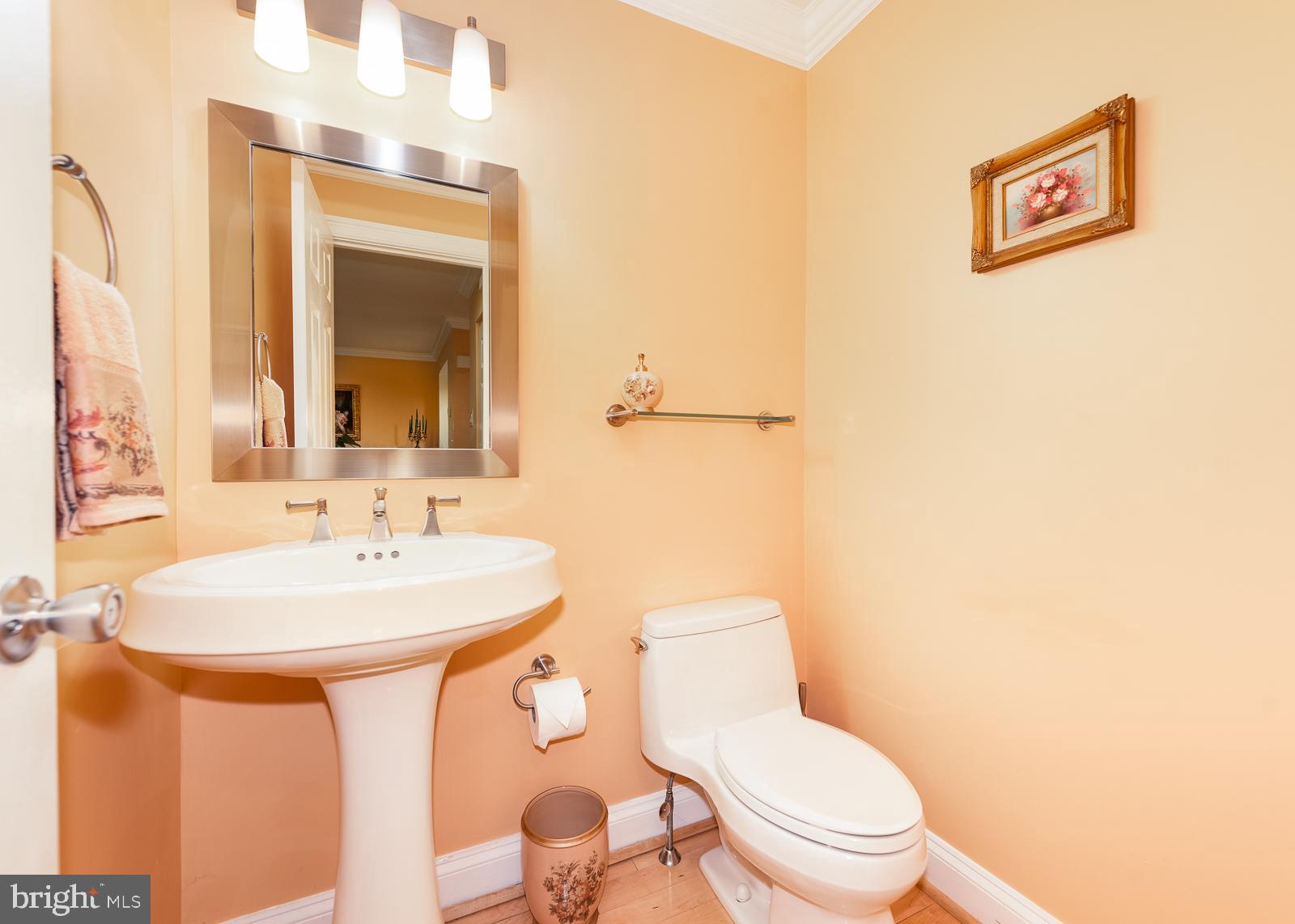 5235 Columbia Road, Unit 568 Columbia, MD 21044 - Photo 12 of 45 Powder room on Mail floor