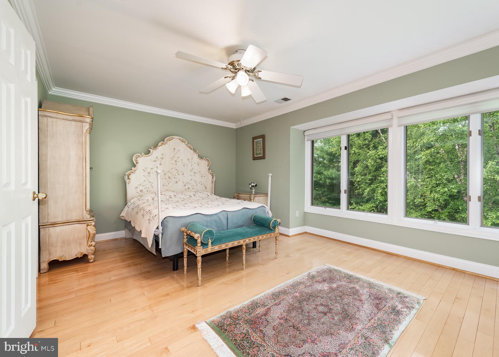 5235 Columbia Road, Unit 568 Columbia, MD 21044 - Photo 18 of 45 Master bedroom with picturesque winfow