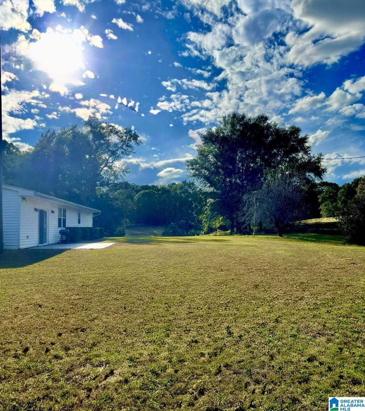 1749 McCollum Church Road Lineville, AL 36266 - Photo 47 of 66