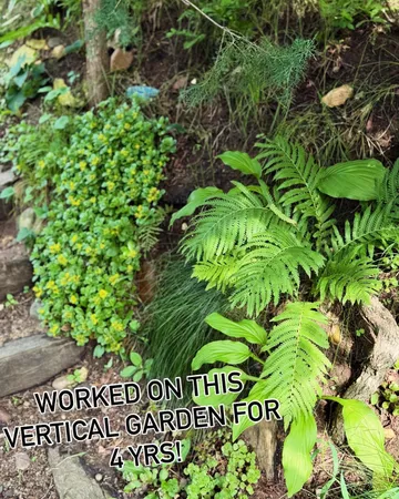 $1,050,000 | 217 Cedar Drive West, Hudson, WI 54016