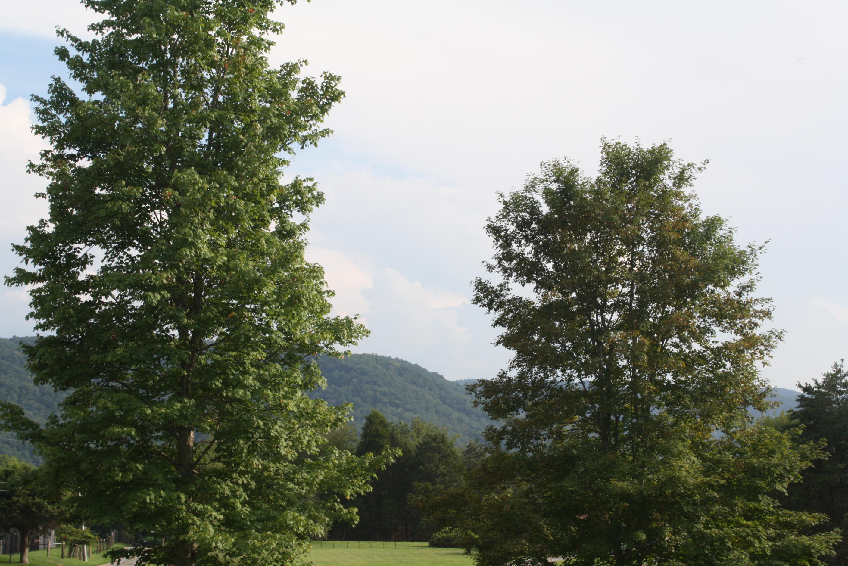 397 Lester Neely Road Nimitz, WV 25978 - Photo 50 of 60 Gallery Image 50