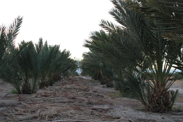 $499,000 | 0 Bounty Avenue, Mecca, CA 92254