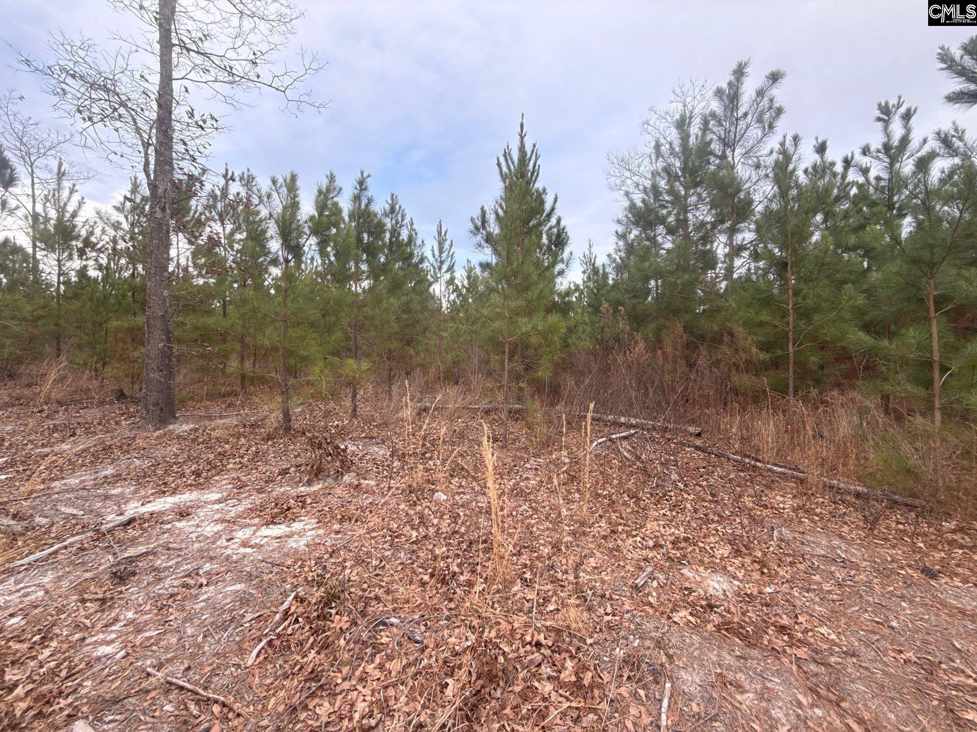 9 Quattlebaum Road, Unit QBF 9 Leesville, SC 29070 - Photo 1 of 12