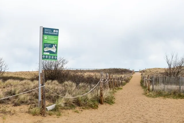 a view of ocean view with beach