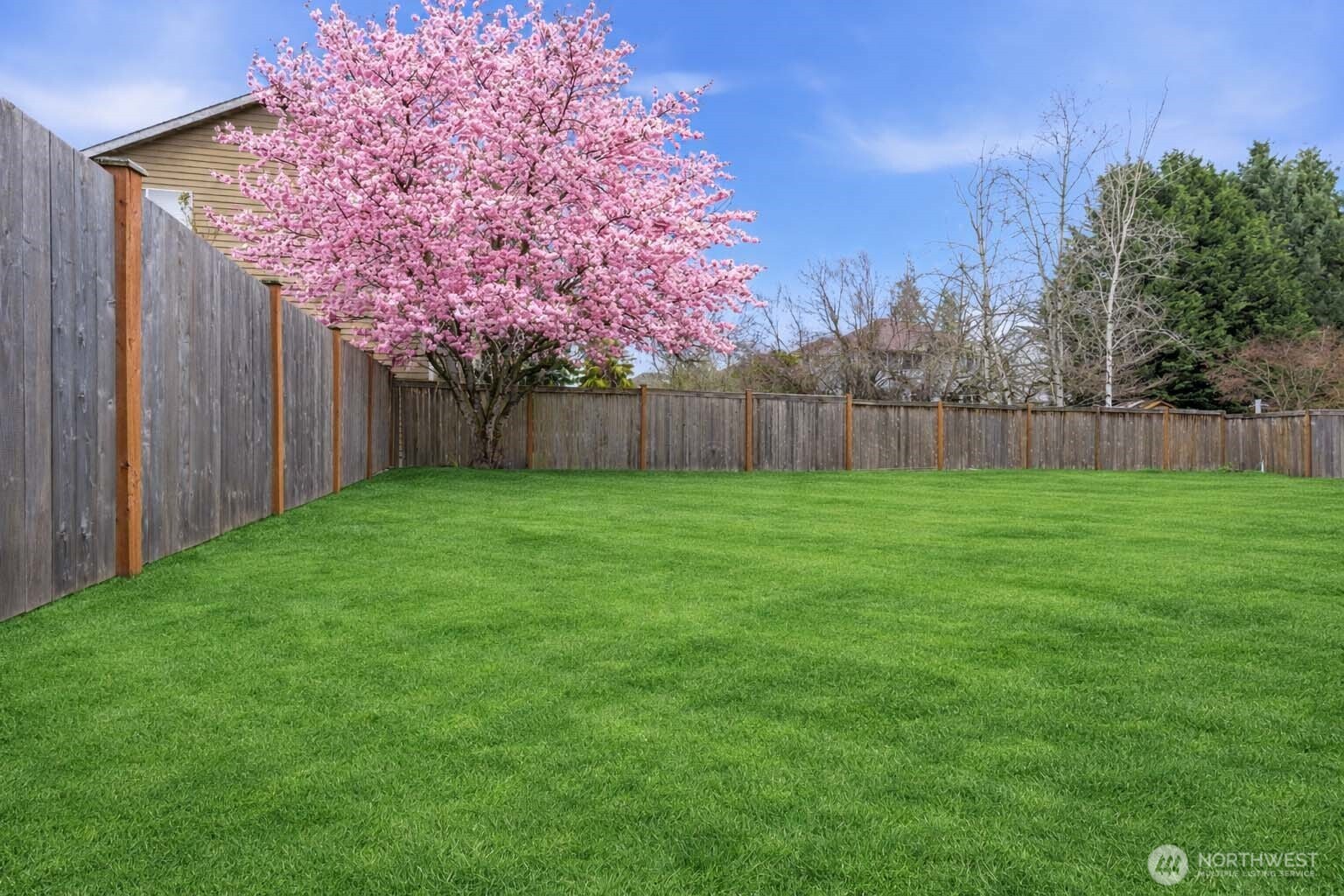 4108 Northeast 7th Street Renton, WA 98059 - Photo 3 of 28 Gallery Image 3