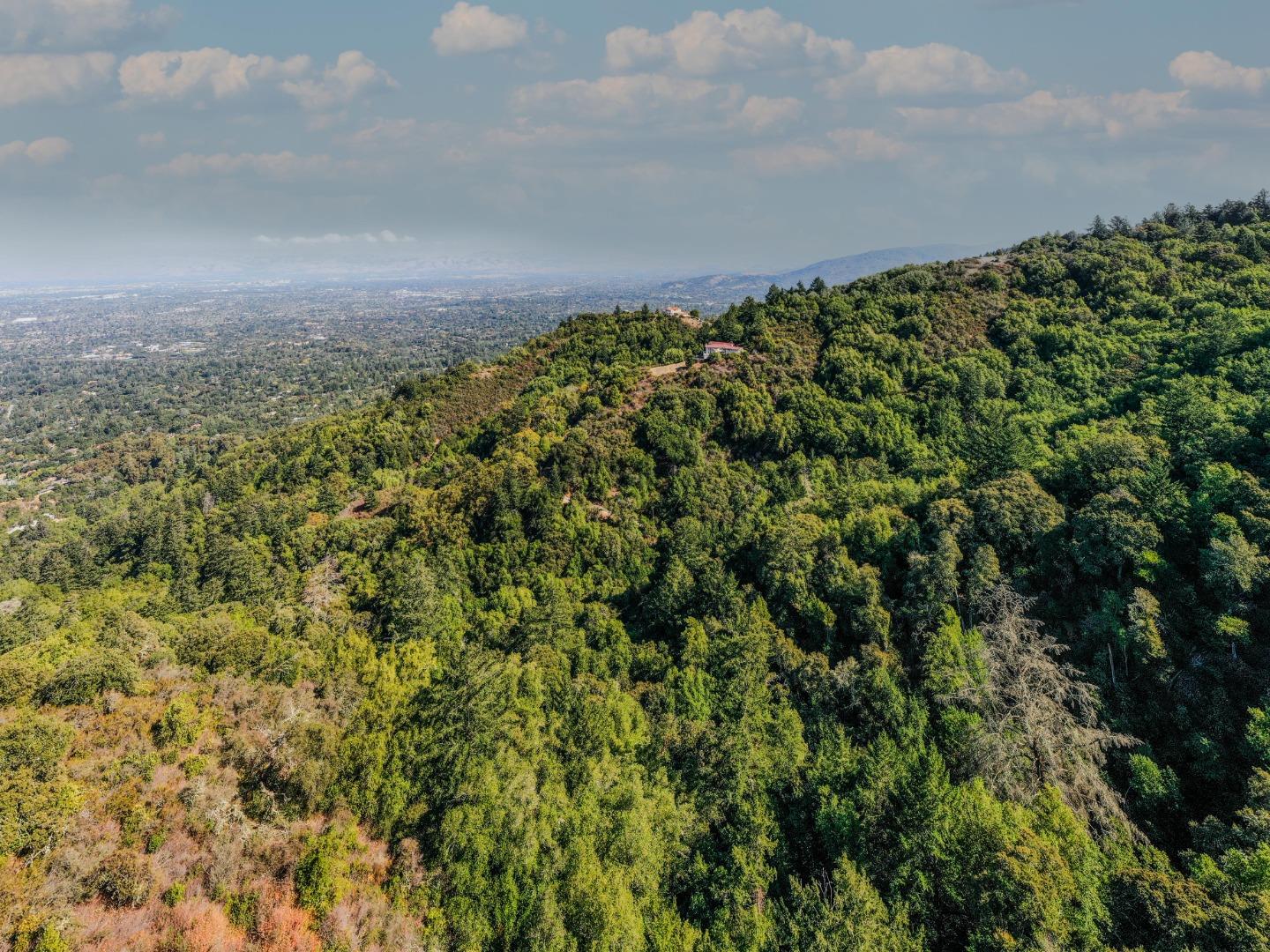 15910 Wildcat Ridge Saratoga, CA 95070 - Photo 2 of 10 a view of a bunch of trees