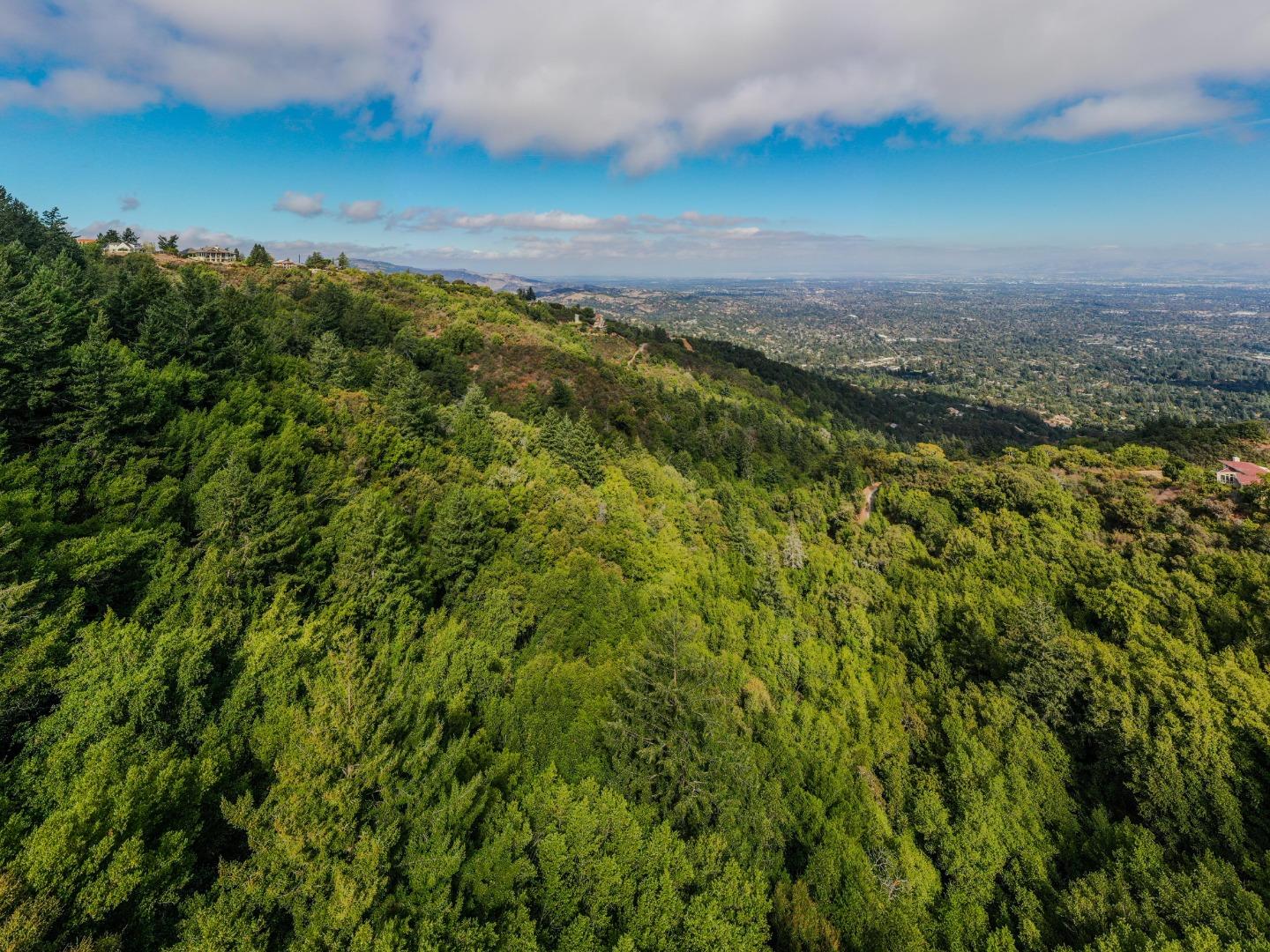 15910 Wildcat Ridge Saratoga, CA 95070 - Photo 3 of 10 a view of a yard and an ocean