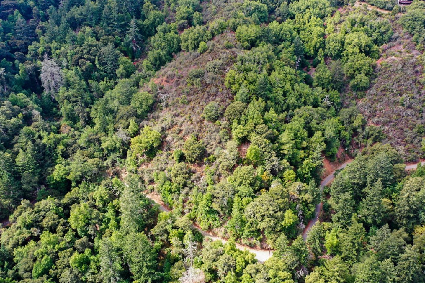 15910 Wildcat Ridge Saratoga, CA 95070 - Photo 5 of 10 view of a lush green forest with lots of trees