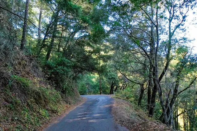 a view of a street with a trees