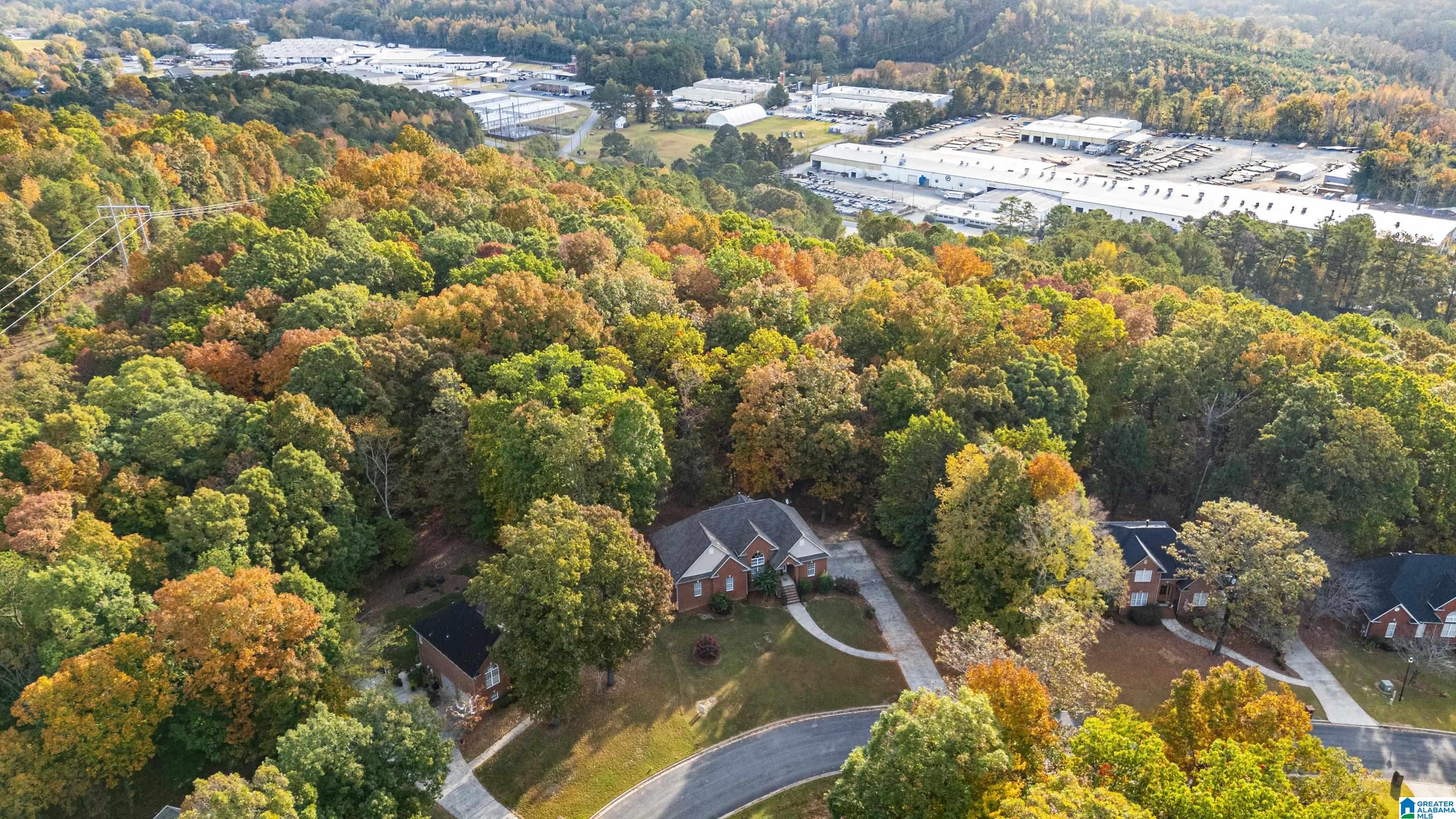 206 Pats Way Springville, AL 35146 - Photo 42 of 46 Gallery Image 42