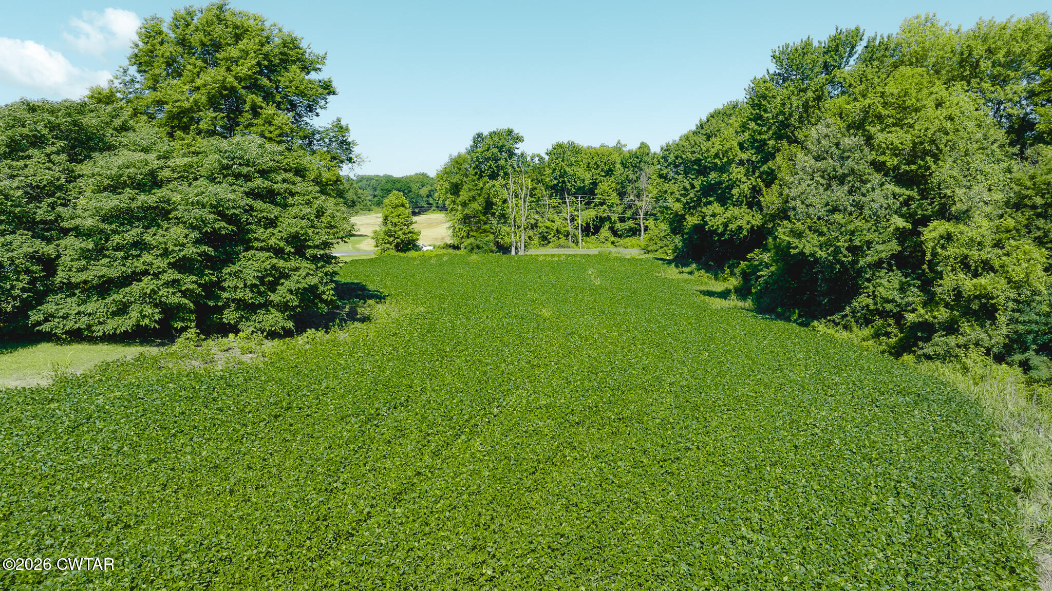 0 Oakshire Road Union City, TN 38261 - Photo 13 of 19 DJI_20260614170231_0011_D