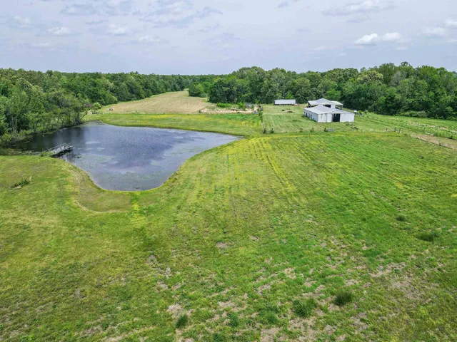 a view of a green field with clear sky