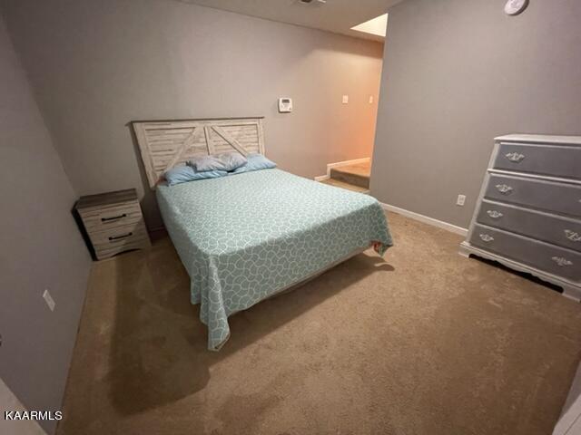 2067 Highpoint Way Sevierville, TN 37876 - Photo 23 of 39 Basement Hideaway