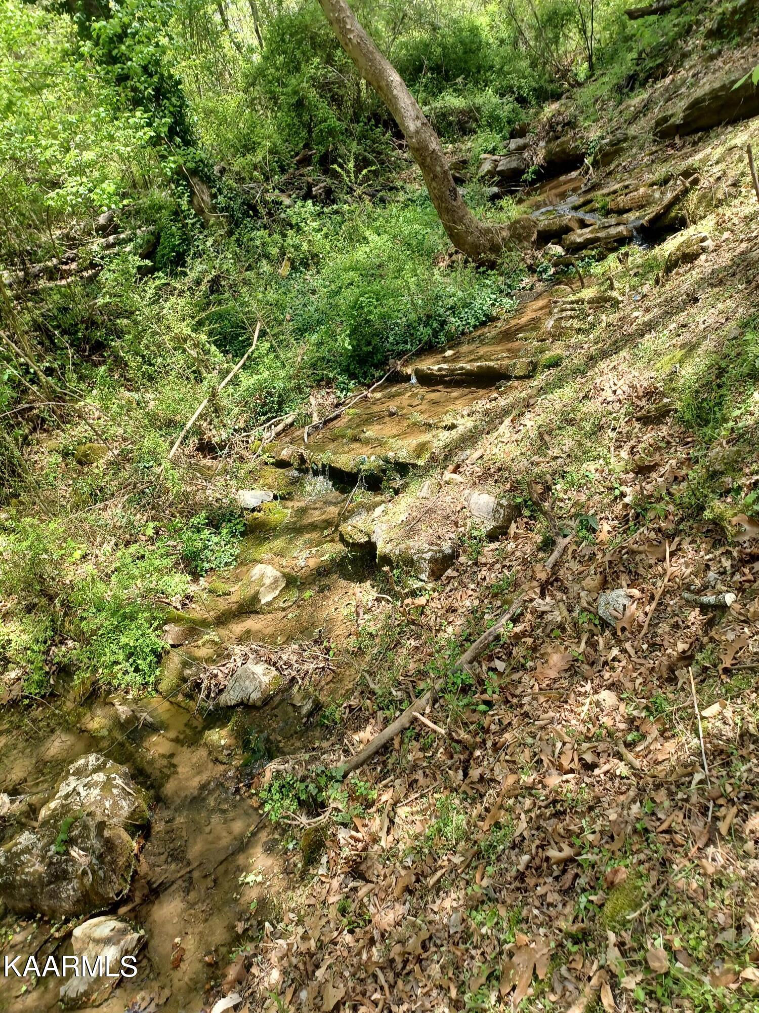 2067 Highpoint Way Sevierville, TN 37876 - Photo 31 of 39 Babbling Creek