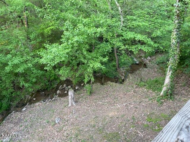 2067 Highpoint Way Sevierville, TN 37876 - Photo 33 of 39 Babbling Creek
