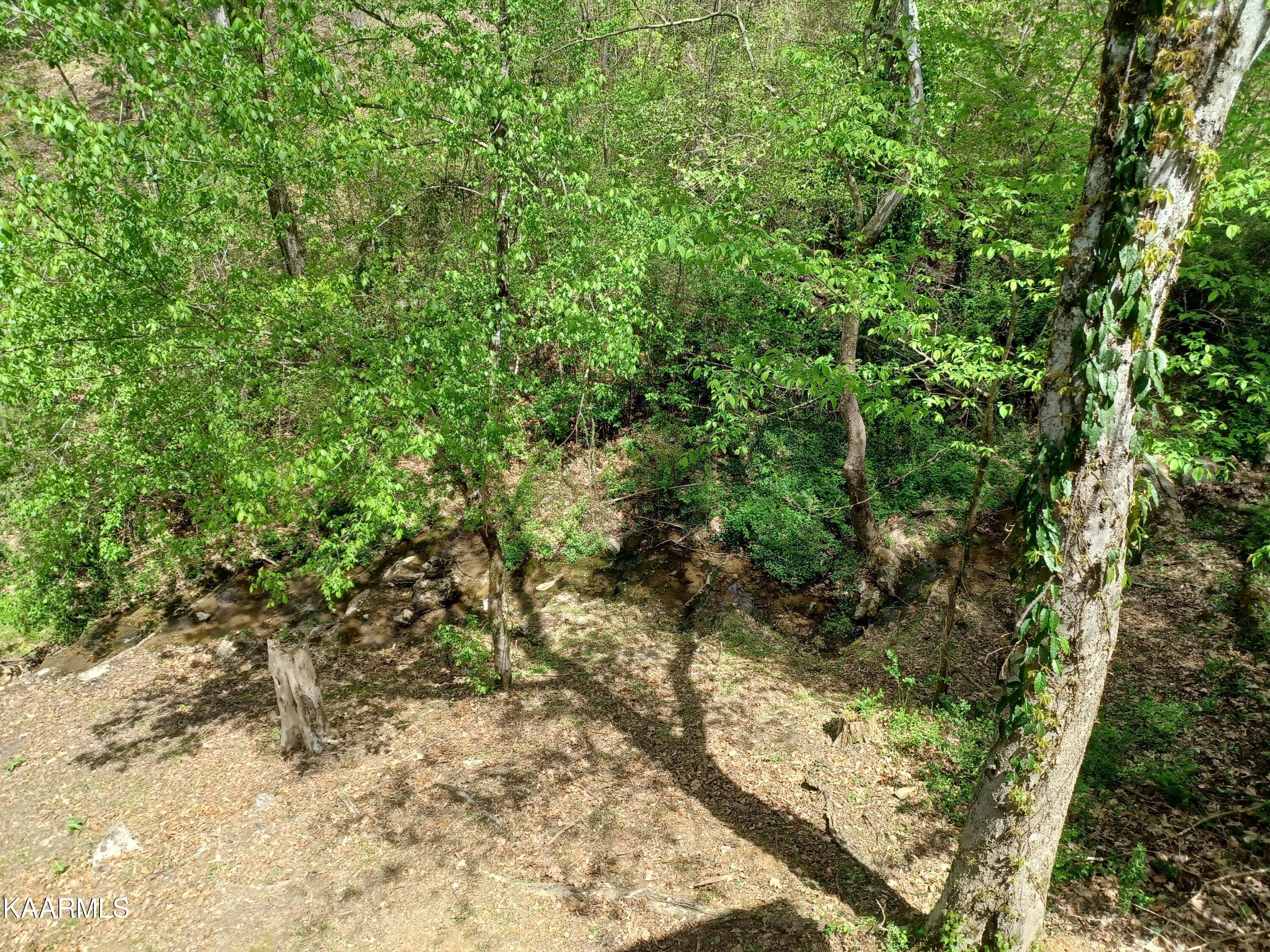 2067 Highpoint Way Sevierville, TN 37876 - Photo 34 of 39 Back yard creek