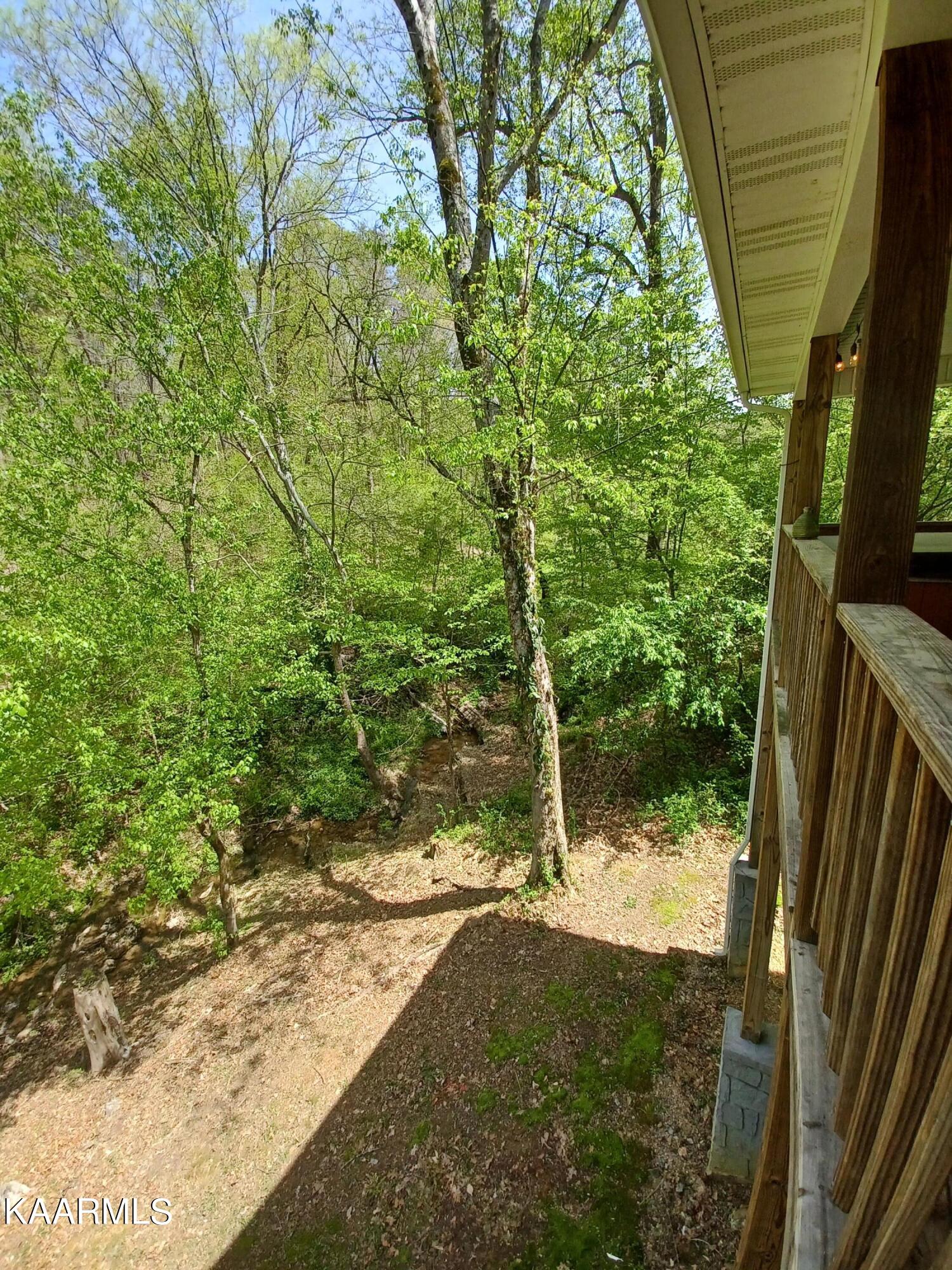 2067 Highpoint Way Sevierville, TN 37876 - Photo 35 of 39 Back yard creek