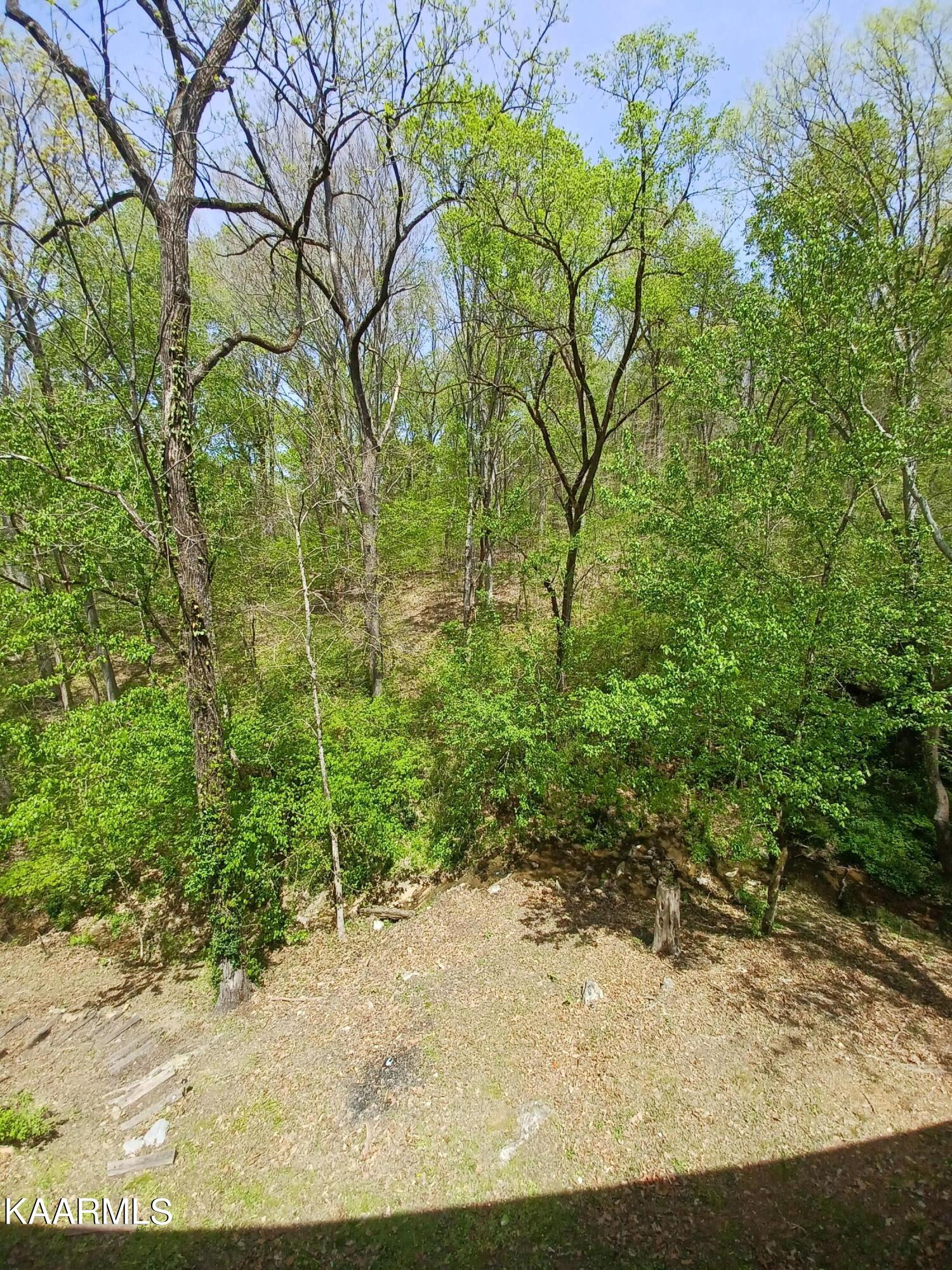 2067 Highpoint Way Sevierville, TN 37876 - Photo 36 of 39 Back yard