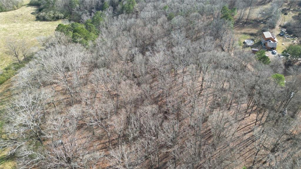 6267 Mt Pisgah Road Ellijay, GA 30540 - Photo 25 of 55 a view of a dry yard with green space