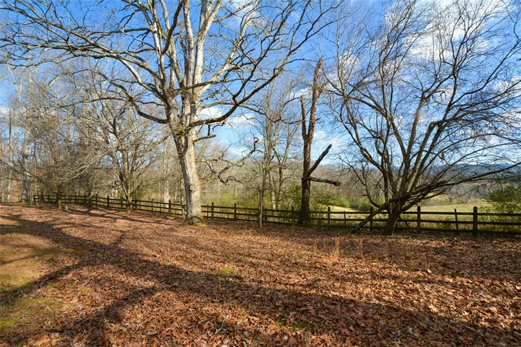 6267 Mt Pisgah Road Ellijay, GA 30540 - Photo 43 of 55 a backyard of a house with large trees