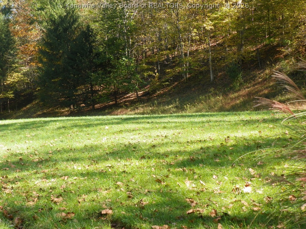 286 Cherry Branch Road Wayne, WV 25570 - Photo 17 of 20 Gallery Image 17