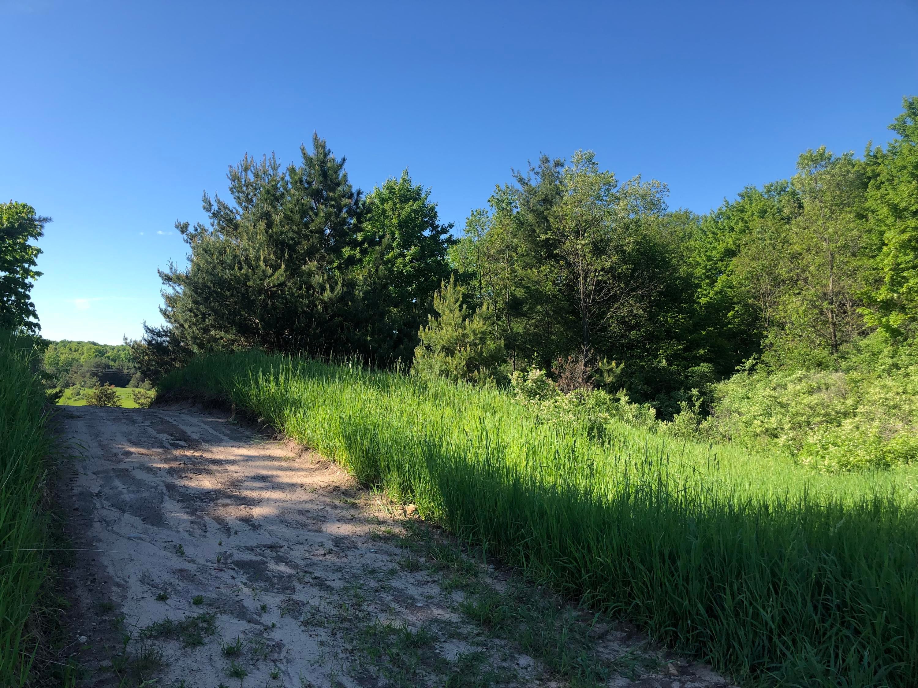 Congdon Road Gaylord, MI 49735 - Photo 21 of 31 Gallery Image 21