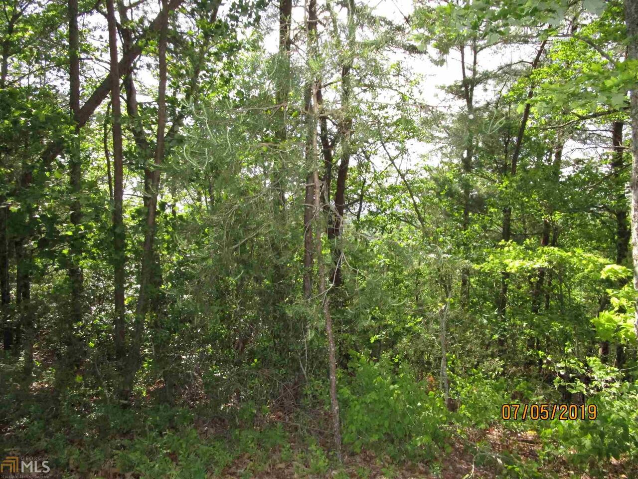 0 Hanes Road Ranger, GA 30732 - Photo 1 of 1