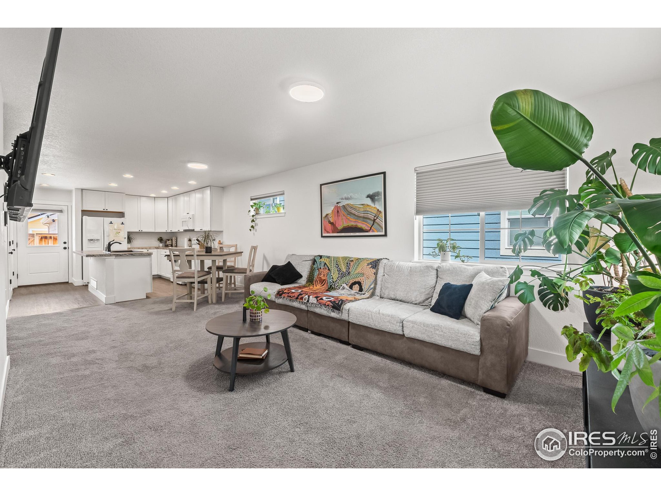 2771 Red Wheat Trail Berthoud, CO 80513 - Photo 12 of 46 a living room with furniture and a potted plant