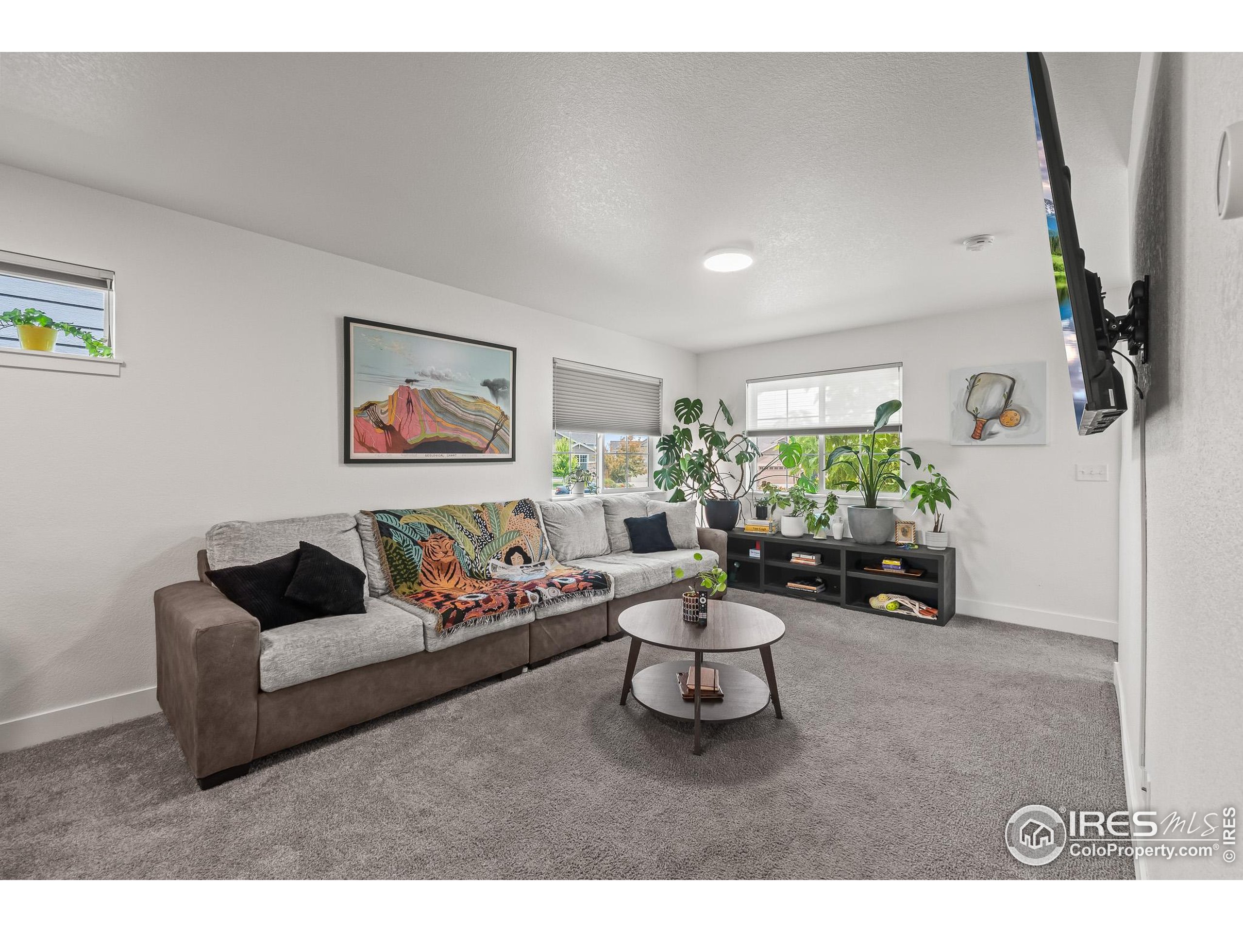 2771 Red Wheat Trail Berthoud, CO 80513 - Photo 15 of 46 a living room with furniture and a couch