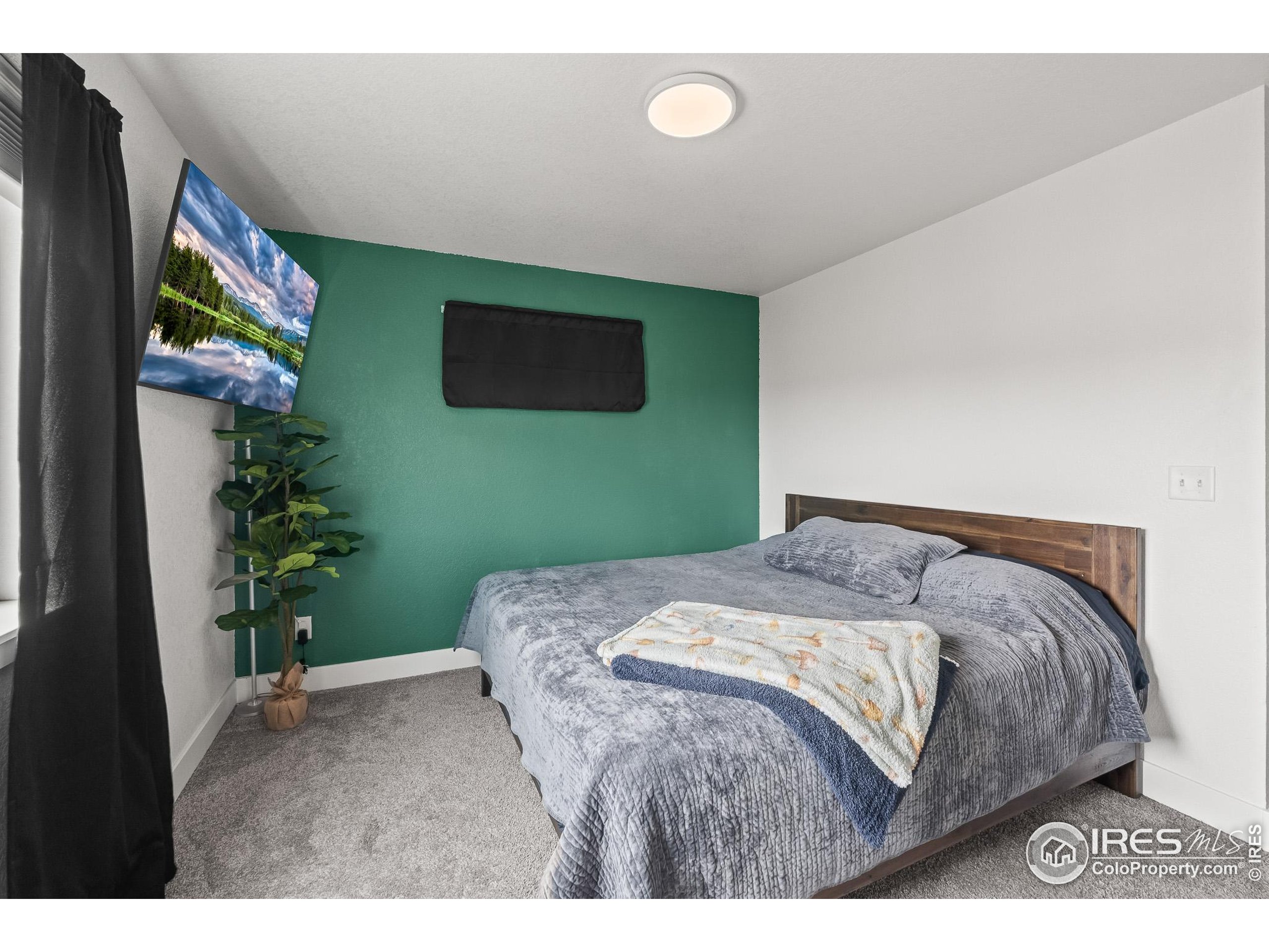 2771 Red Wheat Trail Berthoud, CO 80513 - Photo 29 of 46 a bedroom with a bed and a potted plant