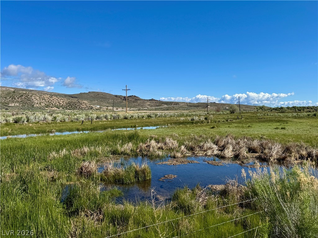 9393 North 93rd Highway Caliente, NV 89008 - Photo 39 of 41 A tranquil rural vista unfolds with verdant marshlands under a clear blue sky.