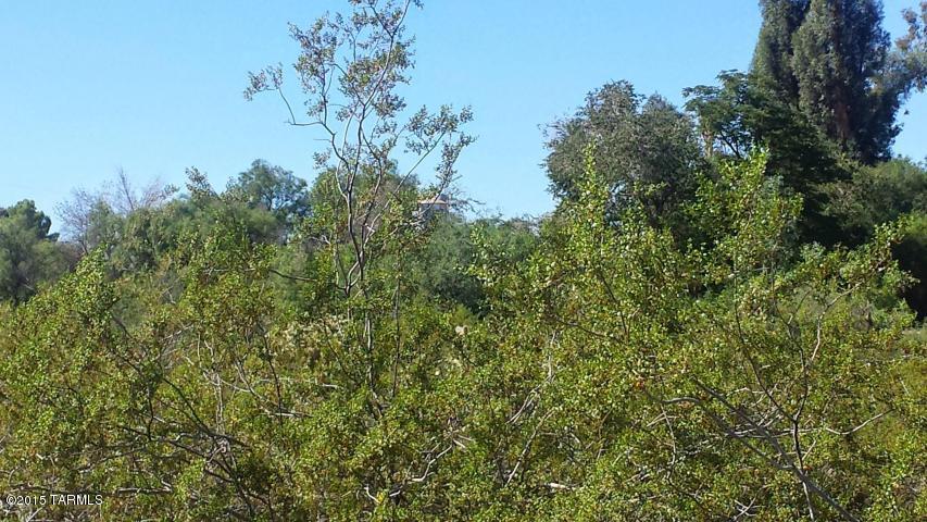4.45 Ac Tucson, AZ 85715 - Photo 3 of 8