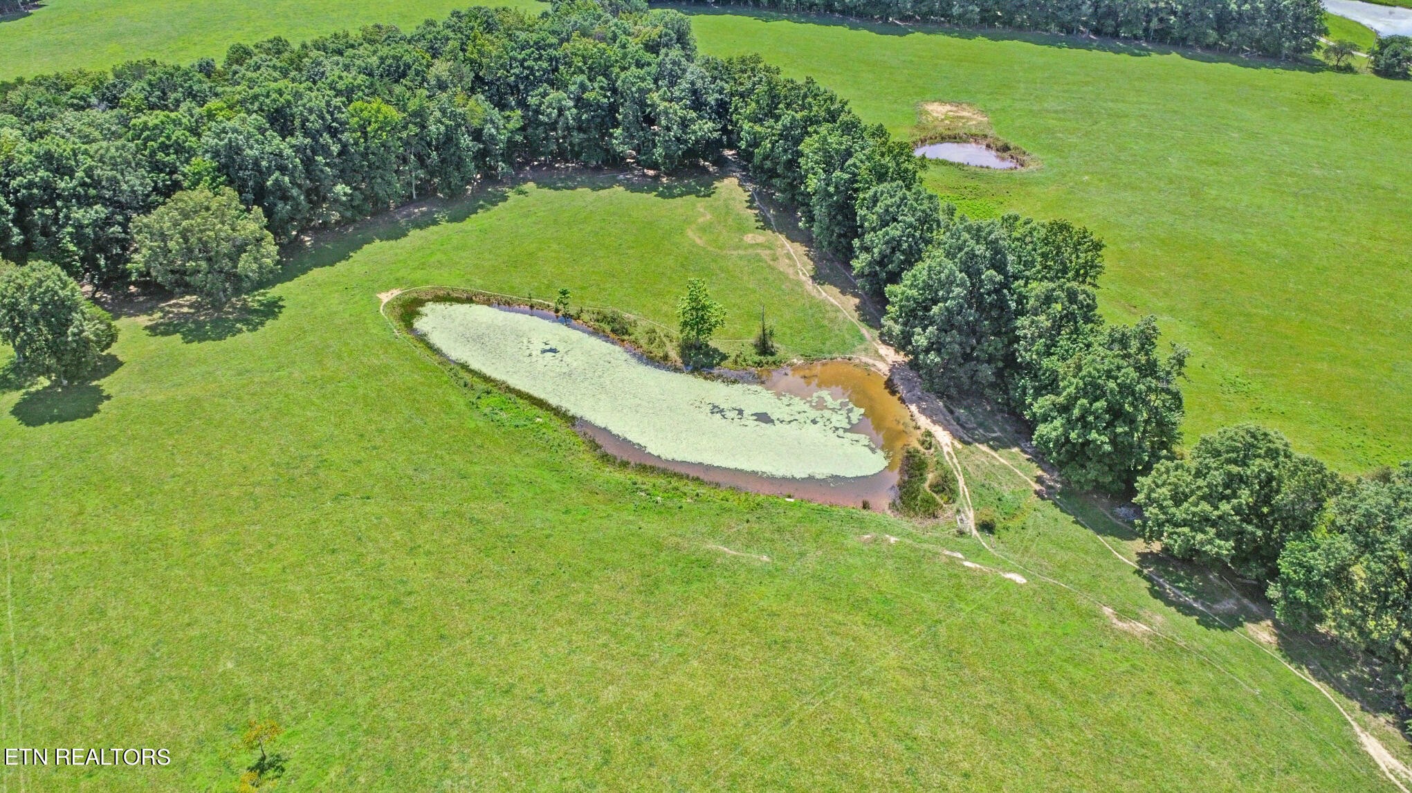 686 Sweat Road Grimsley, TN 38565 - Photo 6 of 43 Gallery Image 6