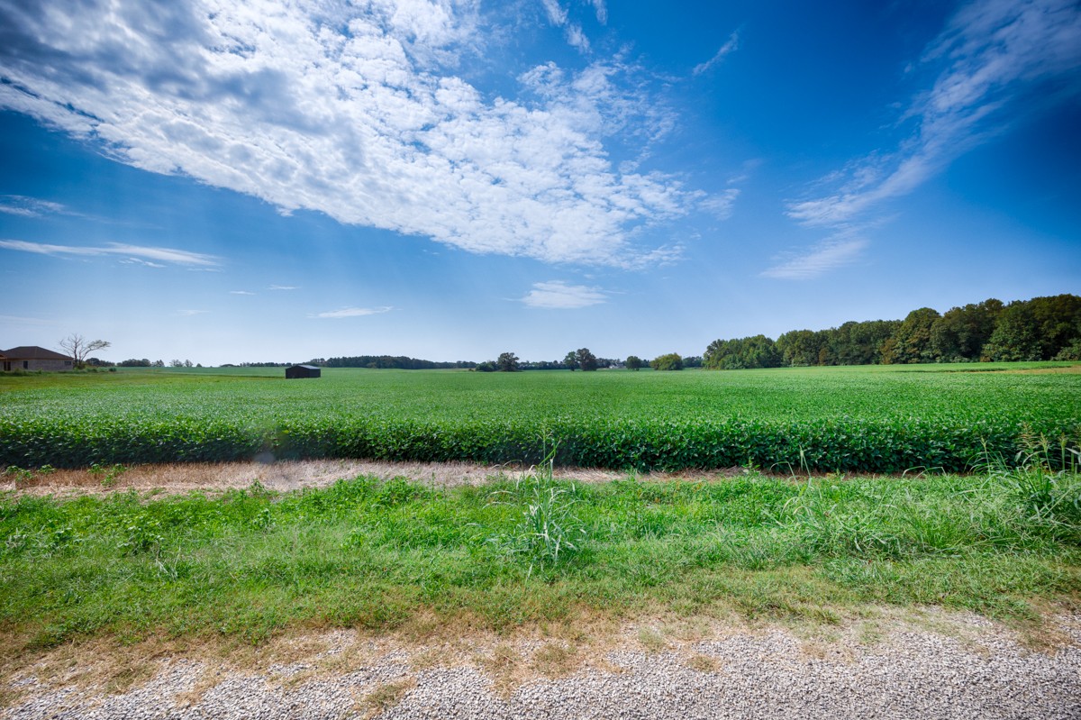 30 A Stevenson Road Ardmore, TN 38449 - Photo 14 of 15 a view of a garden with a lake