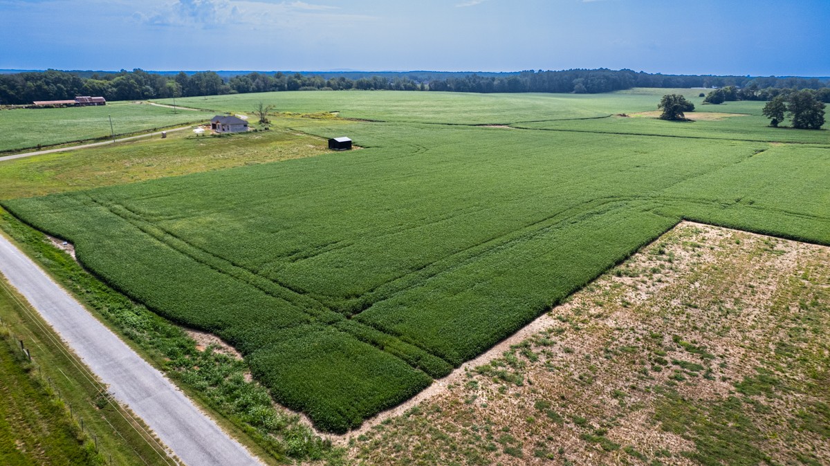 30 A Stevenson Road Ardmore, TN 38449 - Photo 2 of 15 a view of a golf course with a lake