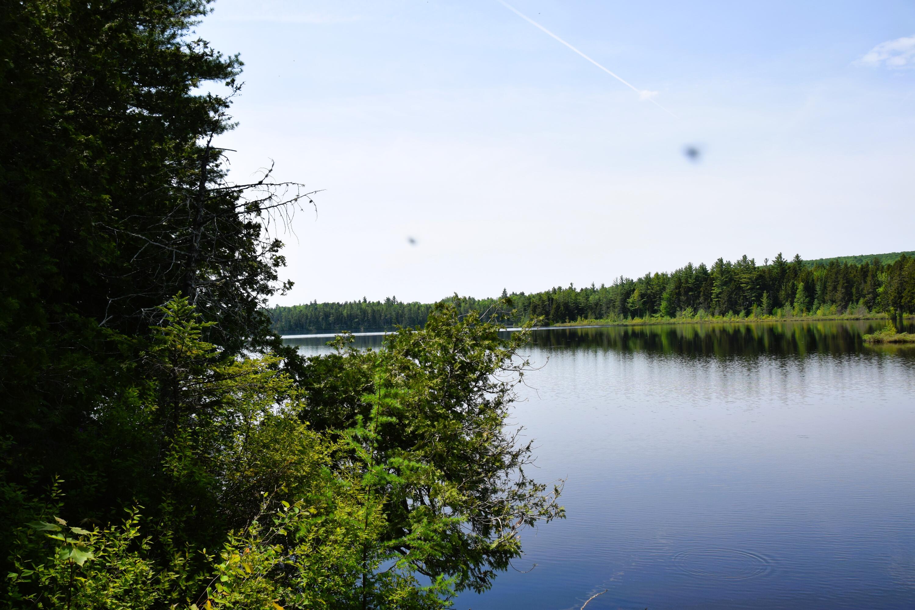 Ms03-l17.3 Carry Pond Road Bingham, ME 04920 - Photo 11 of 19