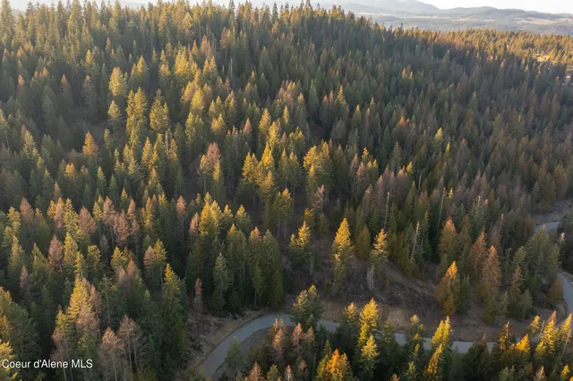 $325,000 | Nna Nna Sophie Hills, Harrison, ID 83833