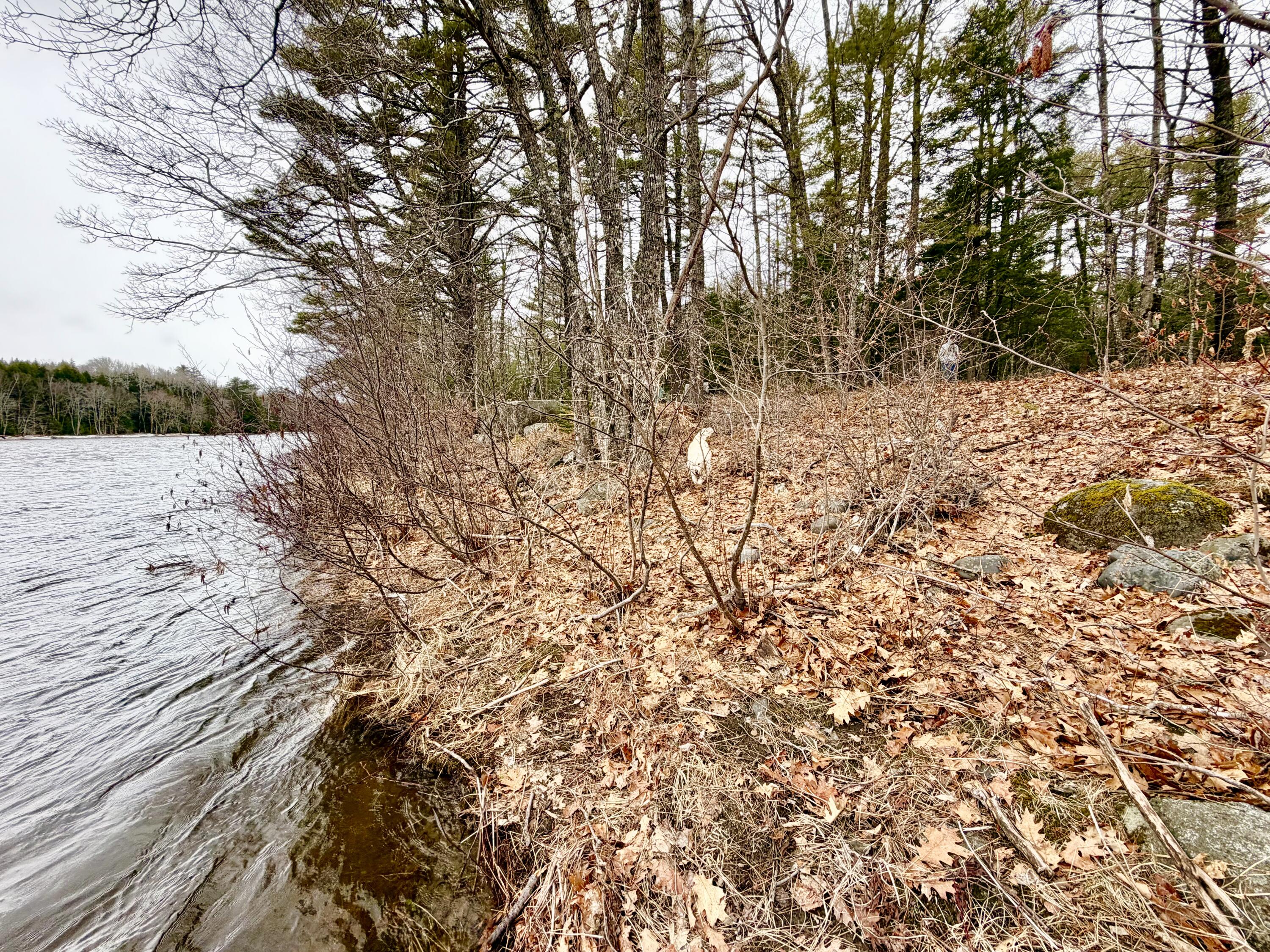 7 North Howland Road Howland, ME 04448 - Photo 17 of 32 IMG_6778