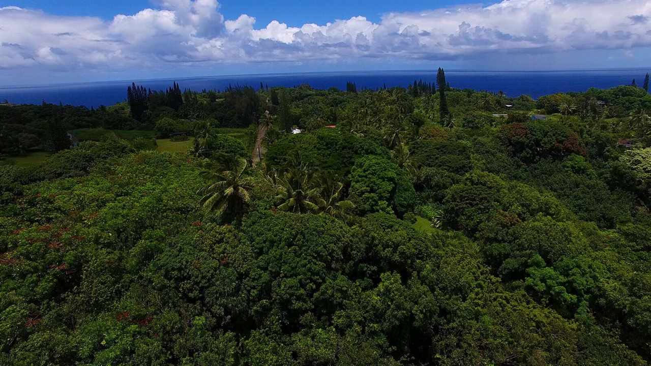 28 Door Of Faith Road Haiku, HI 96708 - Photo 23 of 29 a view of a lush green field