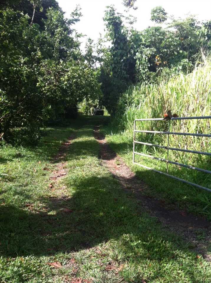 28 Door Of Faith Road Haiku, HI 96708 - Photo 4 of 29 a view of a garden with an outdoor space