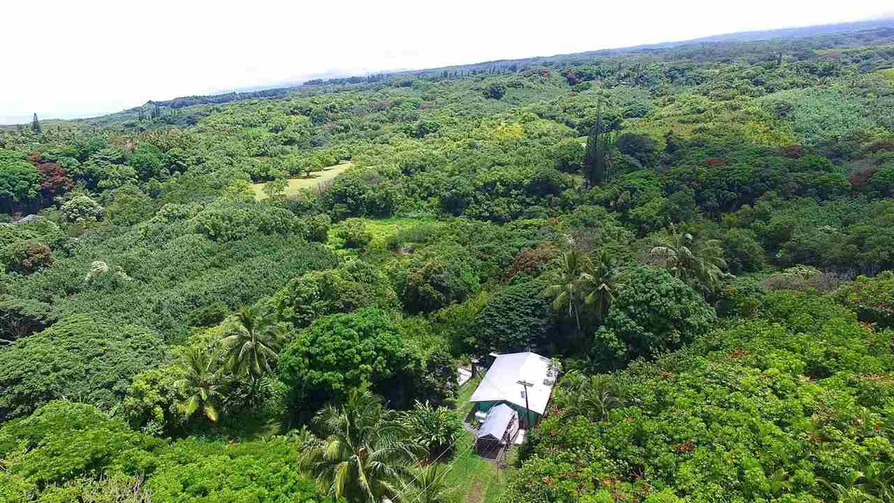 28 Door Of Faith Road Haiku, HI 96708 - Photo 9 of 29 a view of a forest with a street