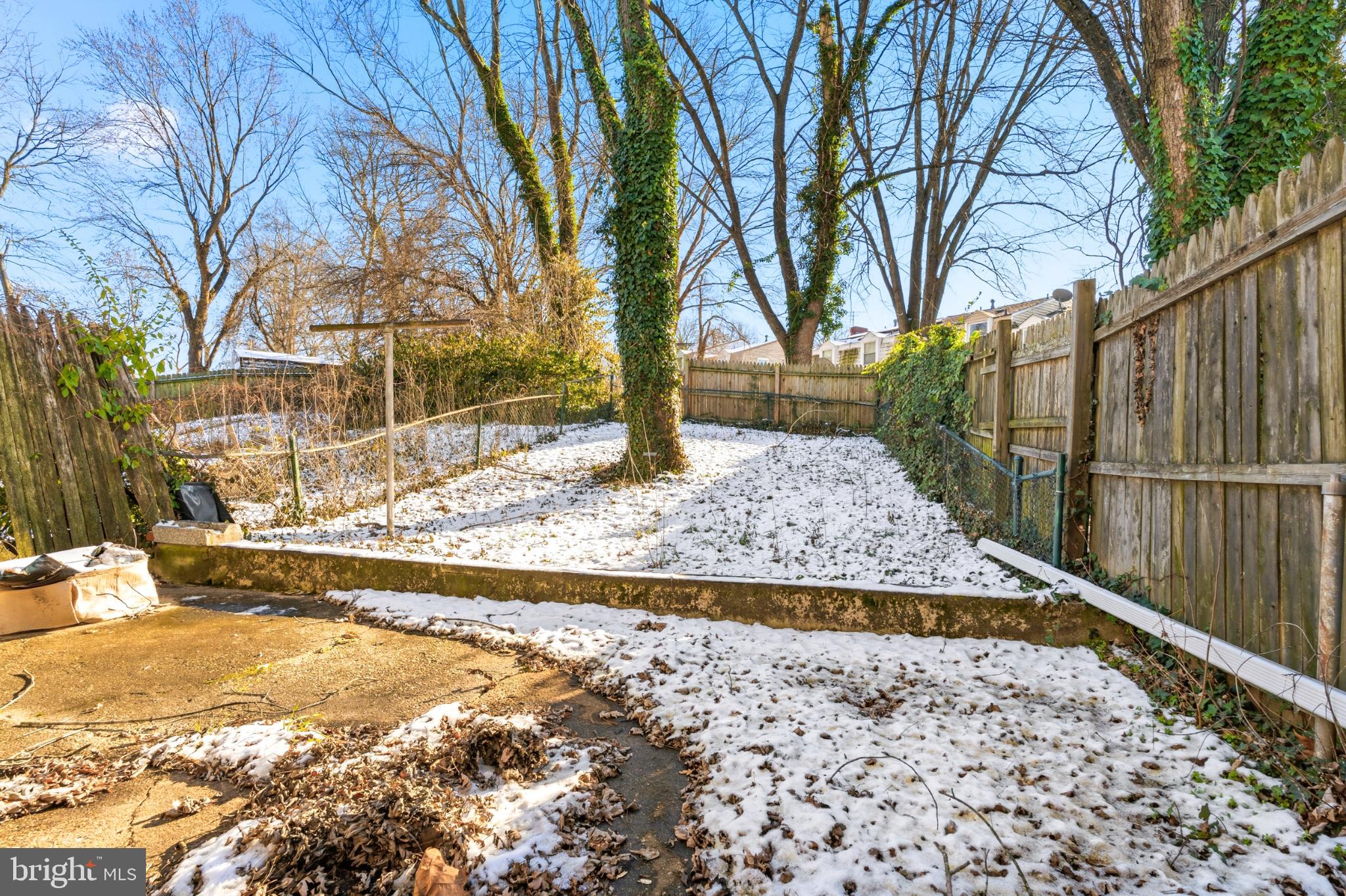 7713 Burnside Road Landover, MD 20785 - Photo 20 of 23 Serene winter garden with a touch of snow.