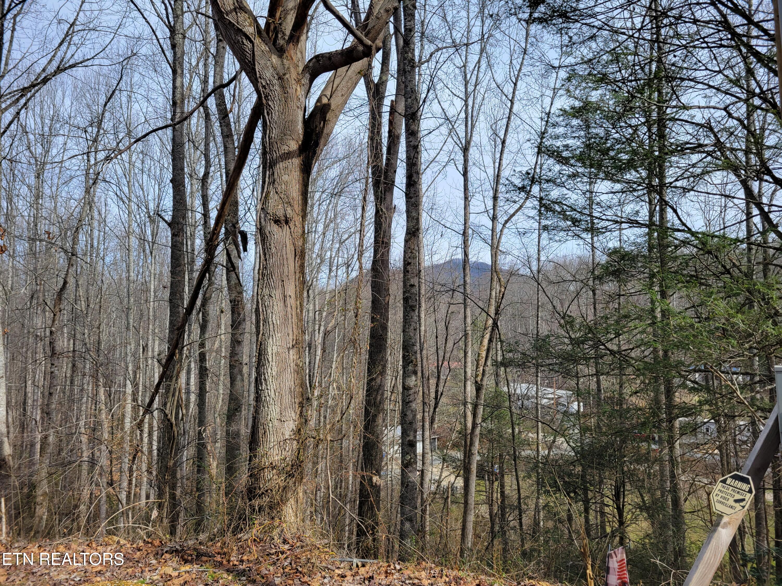 4300 Shults Road Cosby, TN 37722 - Photo 3 of 13 20250214_120225