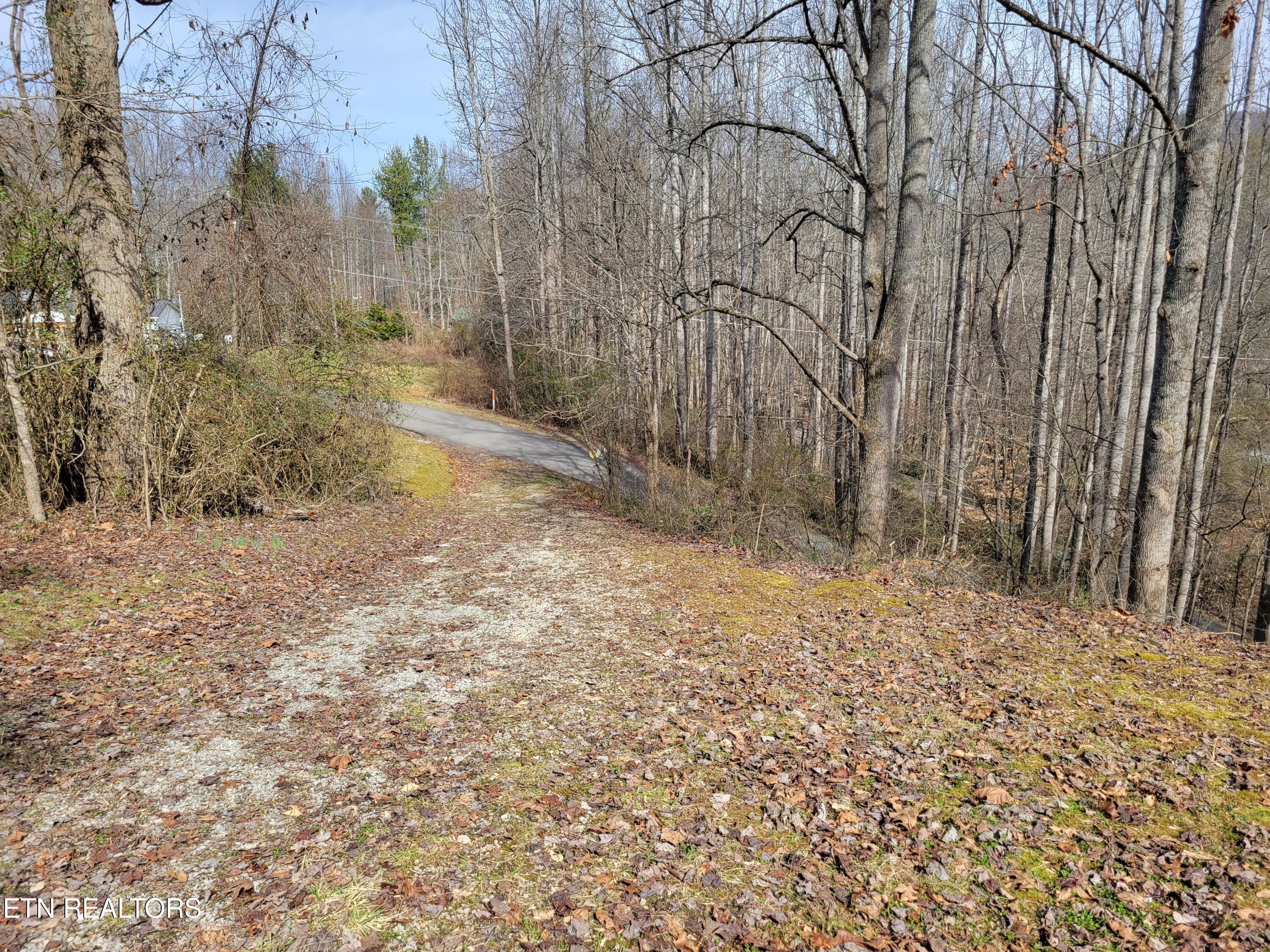 4300 Shults Road Cosby, TN 37722 - Photo 5 of 13 20250214_120706