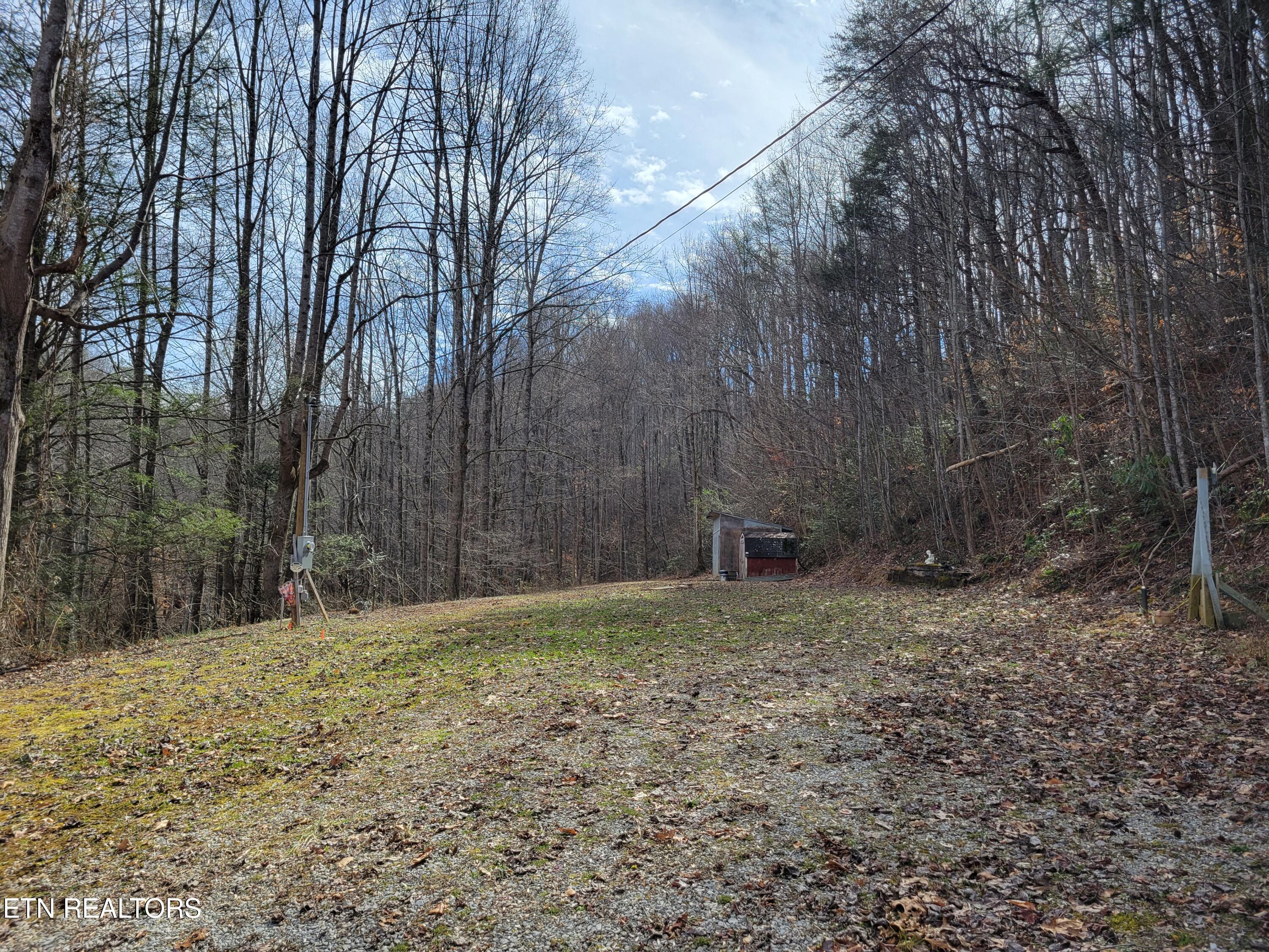 4300 Shults Road Cosby, TN 37722 - Photo 8 of 13 20250214_120847